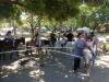 110 - 20170430 Cupertino Cherry Blossom Festival