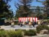 113 - 20170430 Cupertino Cherry Blossom Festival