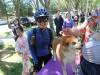 126 - 20170430 Cupertino Cherry Blossom Festival