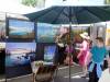 109 - 20190601 Sunnyvale Wine and Art Festival