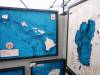 129 - 20190601 Sunnyvale Wine and Art Festival