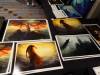 105 - 20220225 Christopher Clark Bucket Amazing Art Expo