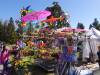 116 - 20220501 Cupertino Cherry Blossom Festival
