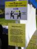 121 - 20220501 Cupertino Cherry Blossom Festival