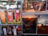 117 - 20220709 Los Altos Wine and Art Festival