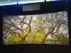 127 - 20220709 Los Altos Wine and Art Festival