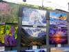 138 - 20220709 Los Altos Wine and Art Festival