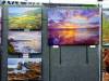 139 - 20220709 Los Altos Wine and Art Festival