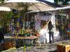 151 - 20220709 Los Altos Wine and Art Festival