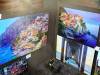 156 - 20220709 Los Altos Wine and Art Festival