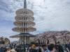114 - 20230408 SF Cherry Blossom Festival