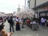 132 - 20230408 SF Cherry Blossom Festival