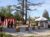 175 - 20230429 Cupertino Cherry Blossom Festival