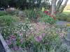 109 - 20160909 Madrona Manor Healdsburg