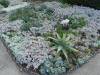 112 - 20160909 Madrona Manor Healdsburg