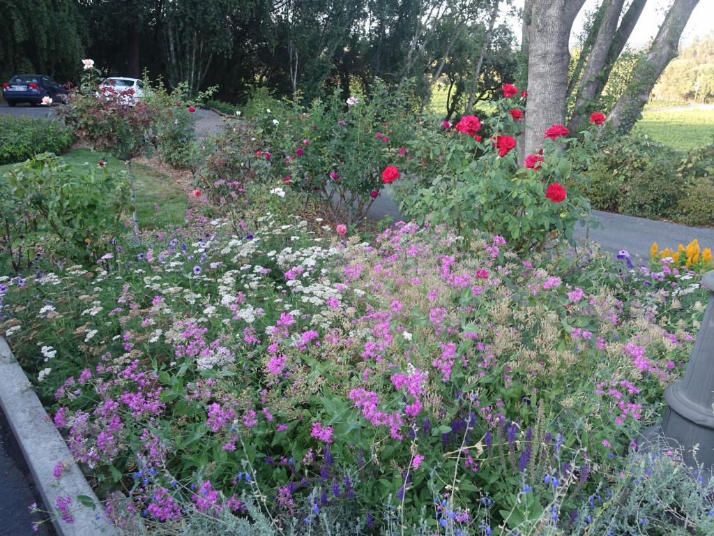 109 - 20160909 Madrona Manor Healdsburg