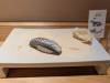 1724 - 20250412 Sushi Meguri Ginza Google Pixel 9 Pro XL