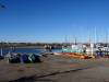 103 - 20141128 Moss Landing Elkorn Slough
