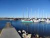 104 - 20141128 Moss Landing Elkorn Slough