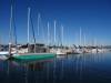 108 - 20141128 Moss Landing Elkorn Slough