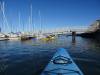 113 - 20141128 Moss Landing Elkorn Slough
