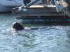 114 - 20141128 Moss Landing Elkorn Slough