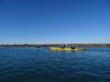 178 - 20141128 Moss Landing Elkorn Slough
