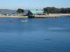 192 - 20141128 Moss Landing Elkorn Slough