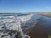 199 - 20141128 Moss Landing Elkorn Slough