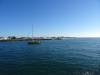 201 - 20141128 Moss Landing Elkorn Slough