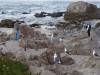 376 - Monterey