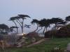 384 - Monterey