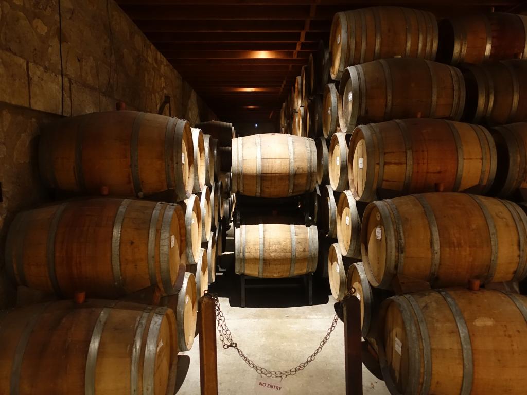 109 - 20150807 Morisoli Vineyard