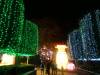 106 - 20161125 Gilroy Gardens Chinese Luminations