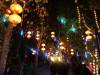 109 - 20161125 Gilroy Gardens Chinese Luminations