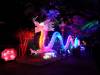 113 - 20161125 Gilroy Gardens Chinese Luminations