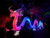 114 - 20161125 Gilroy Gardens Chinese Luminations