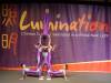 130 - 20161125 Gilroy Gardens Chinese Luminations