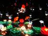 160 - 20161125 Gilroy Gardens Chinese Luminations
