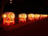 163 - 20161125 Gilroy Gardens Chinese Luminations