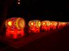 164 - 20161125 Gilroy Gardens Chinese Luminations