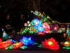 169 - 20161125 Gilroy Gardens Chinese Luminations