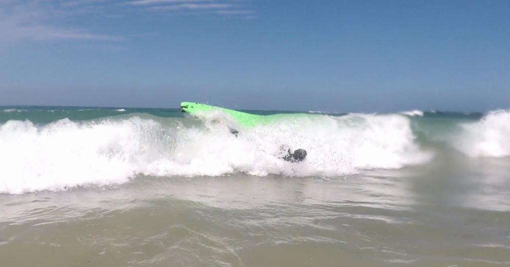 410 - 20180121 Sydney Surfing2 Shots