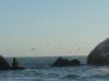 162 - 20180707 Helen 40th BD SF GG Park