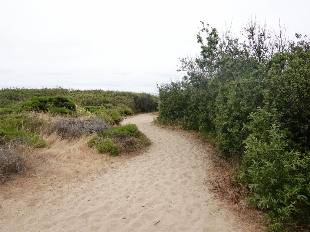 110 - 20190614 Hwy1 Beaches