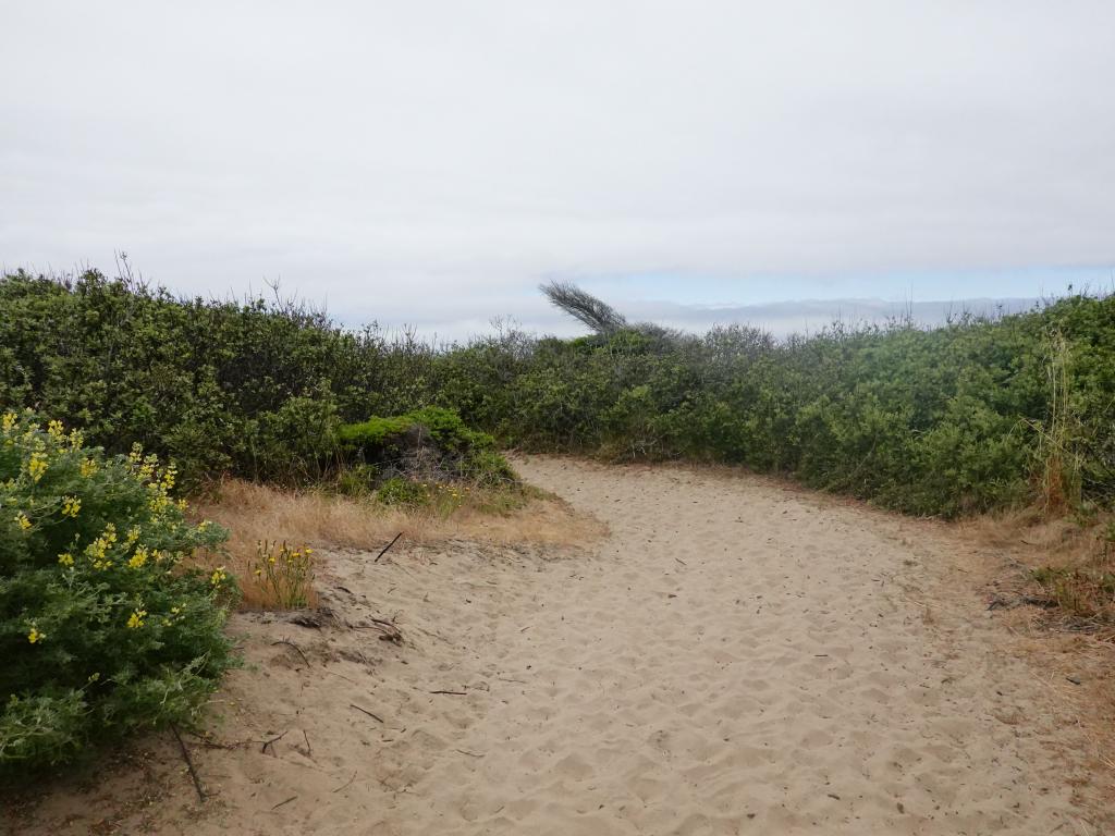 112 - 20190614 Hwy1 Beaches