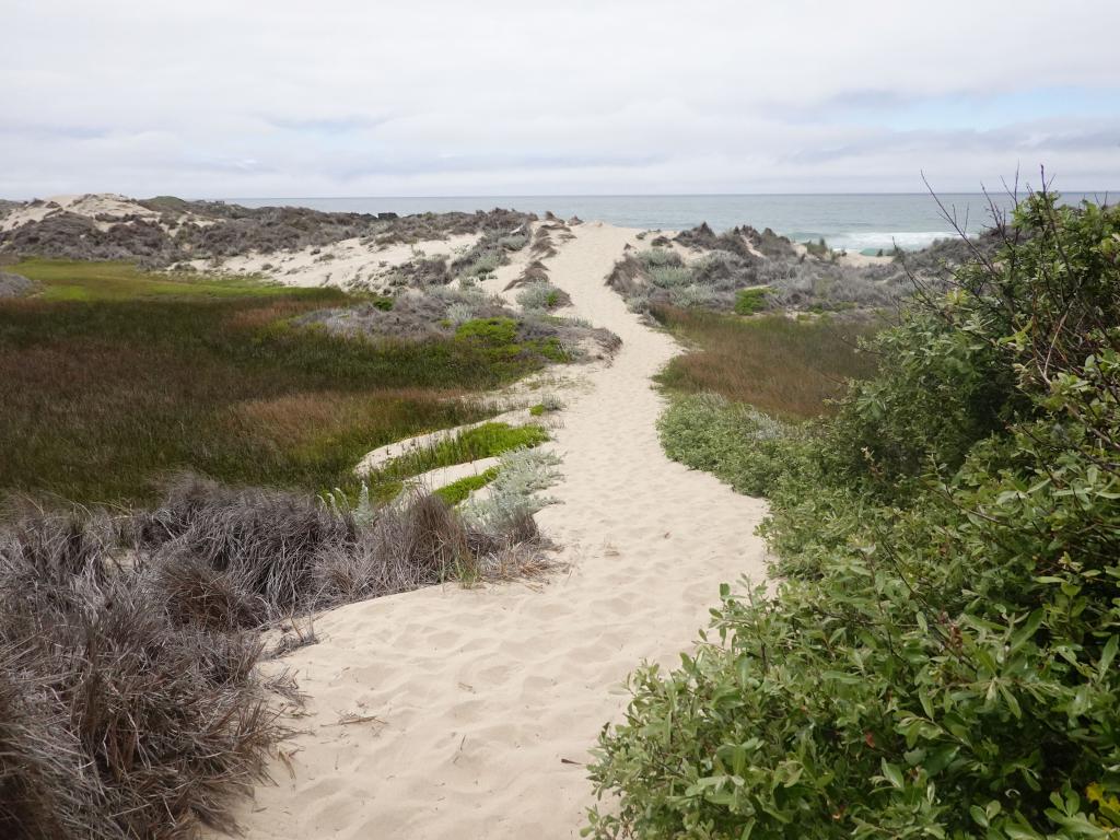 113 - 20190614 Hwy1 Beaches