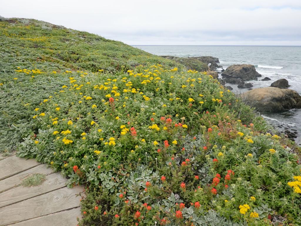 119 - 20190614 Hwy1 Beaches