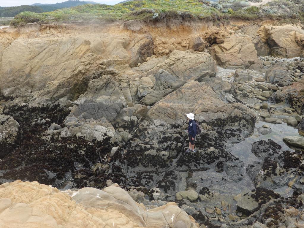 130 - 20190614 Hwy1 Beaches