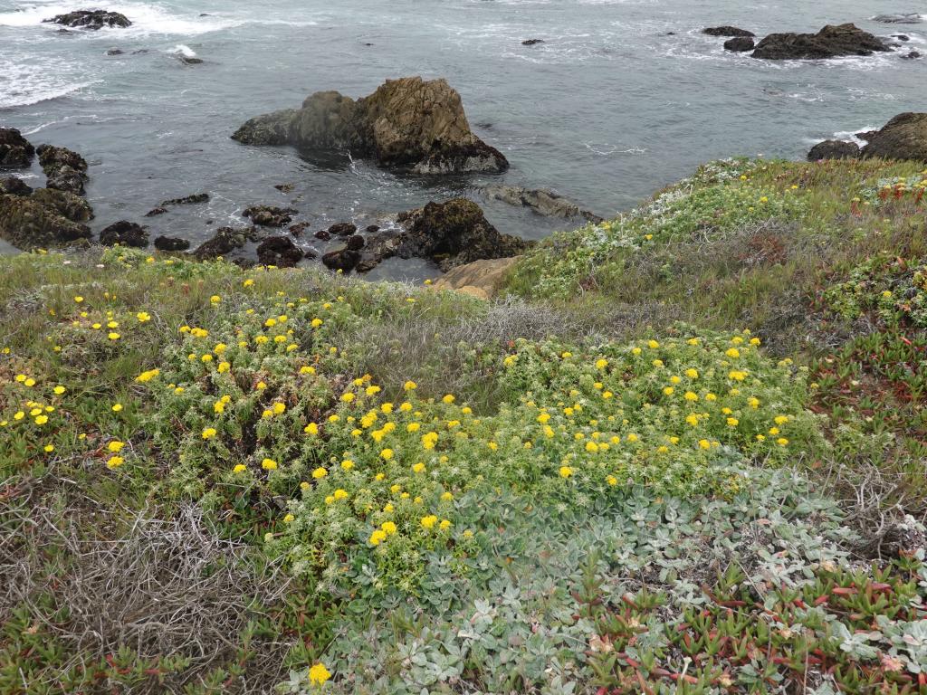 131 - 20190614 Hwy1 Beaches